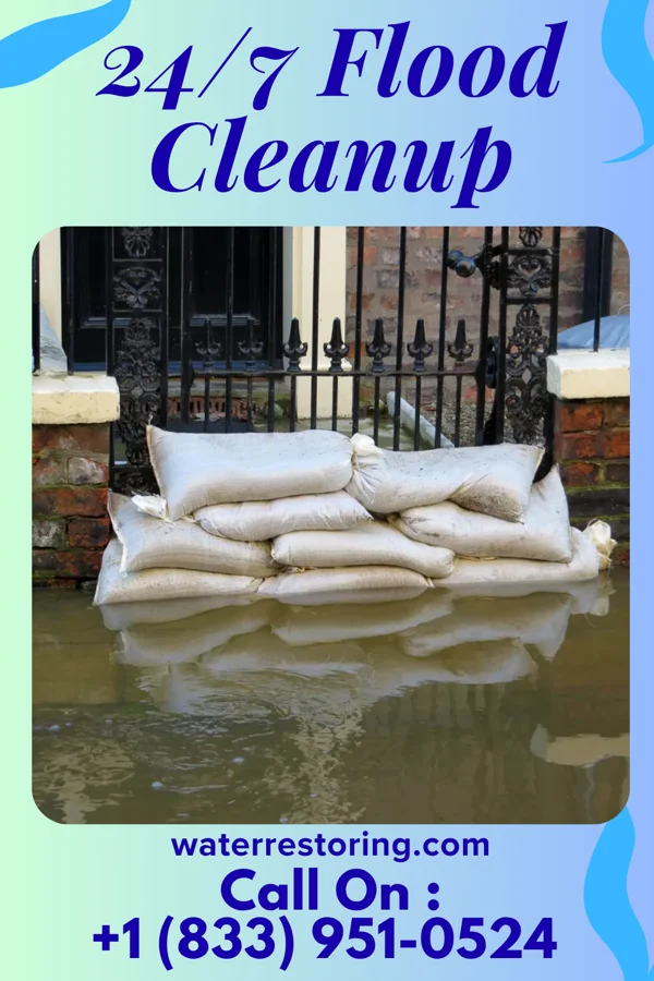 24/7 Flood Cleanup in Laddonia, MO