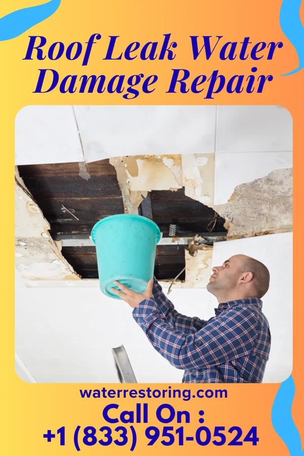 Roof Leak Water Damage Repair in Laddonia, MO