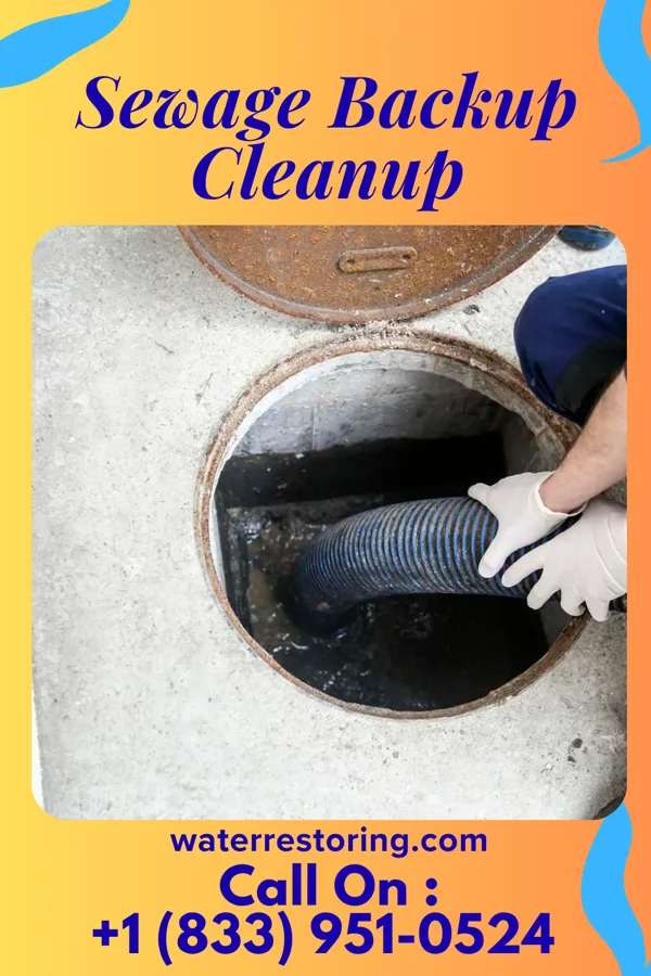 Sewage Backup Cleanup in Laddonia, MO