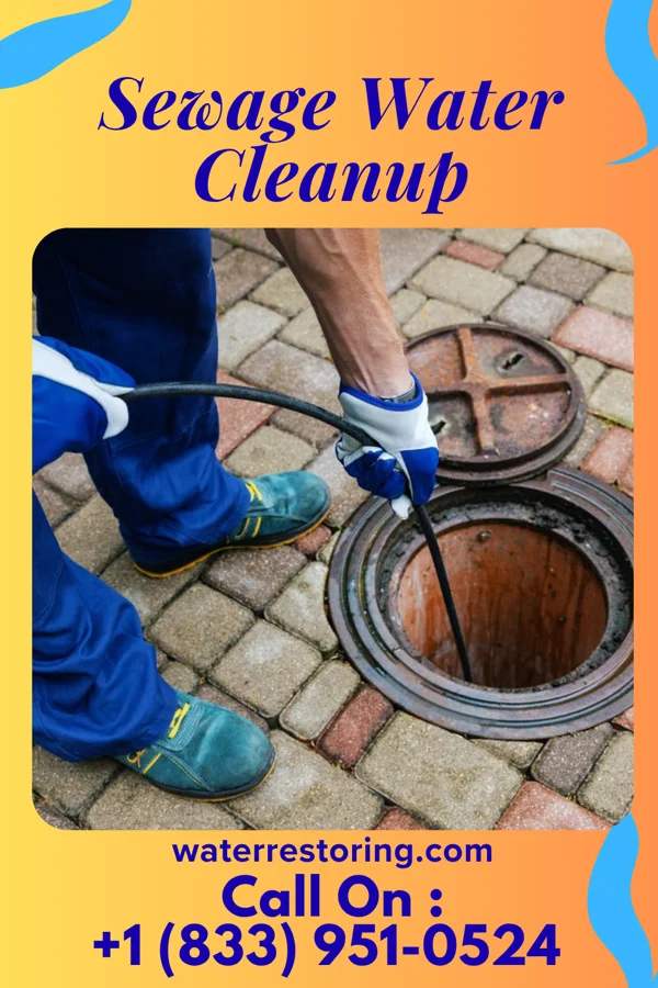 Sewage Water Cleanup in Laddonia, MO
