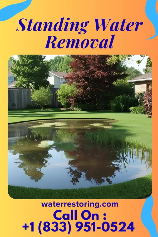 Standing Water Removal in Laddonia, MO